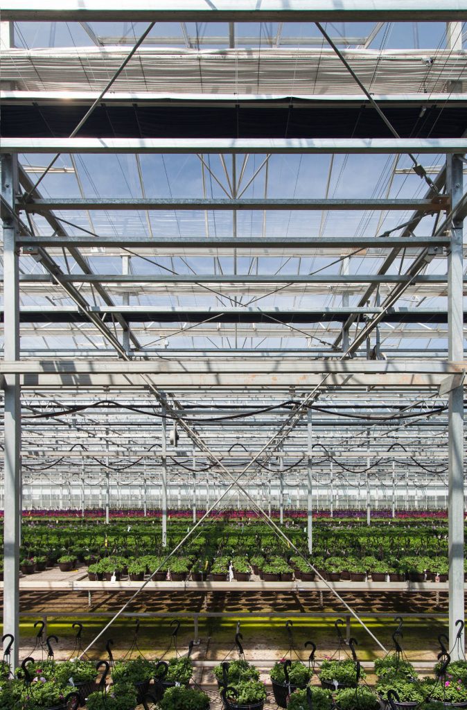 Metrolina Greenhouses
