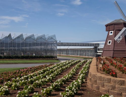 Metrolina Greenhouses